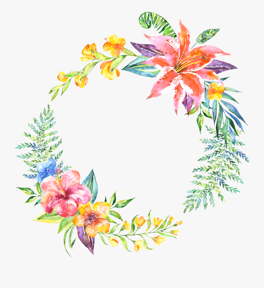 Transparent Commensalism Clipart - Transparent Watercolour Clipart, Transparent Clipart