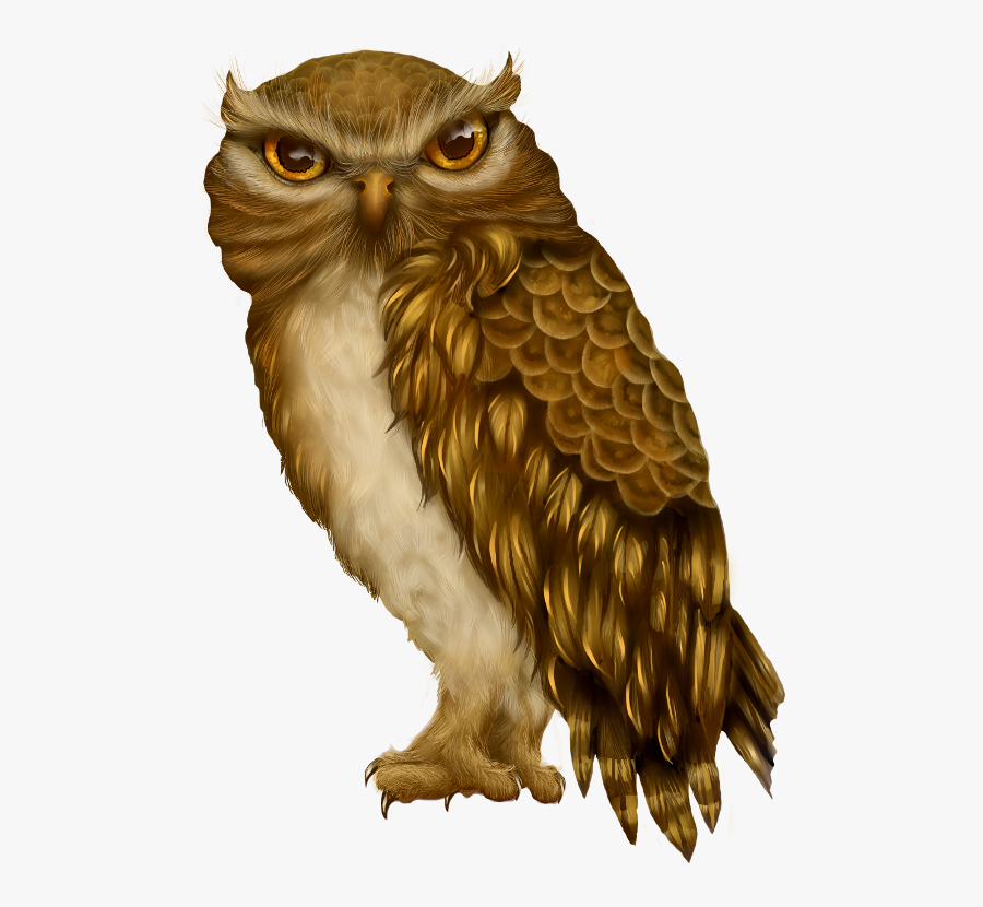 Owl Bird Beak Clip Art - Owl Purple, Transparent Clipart