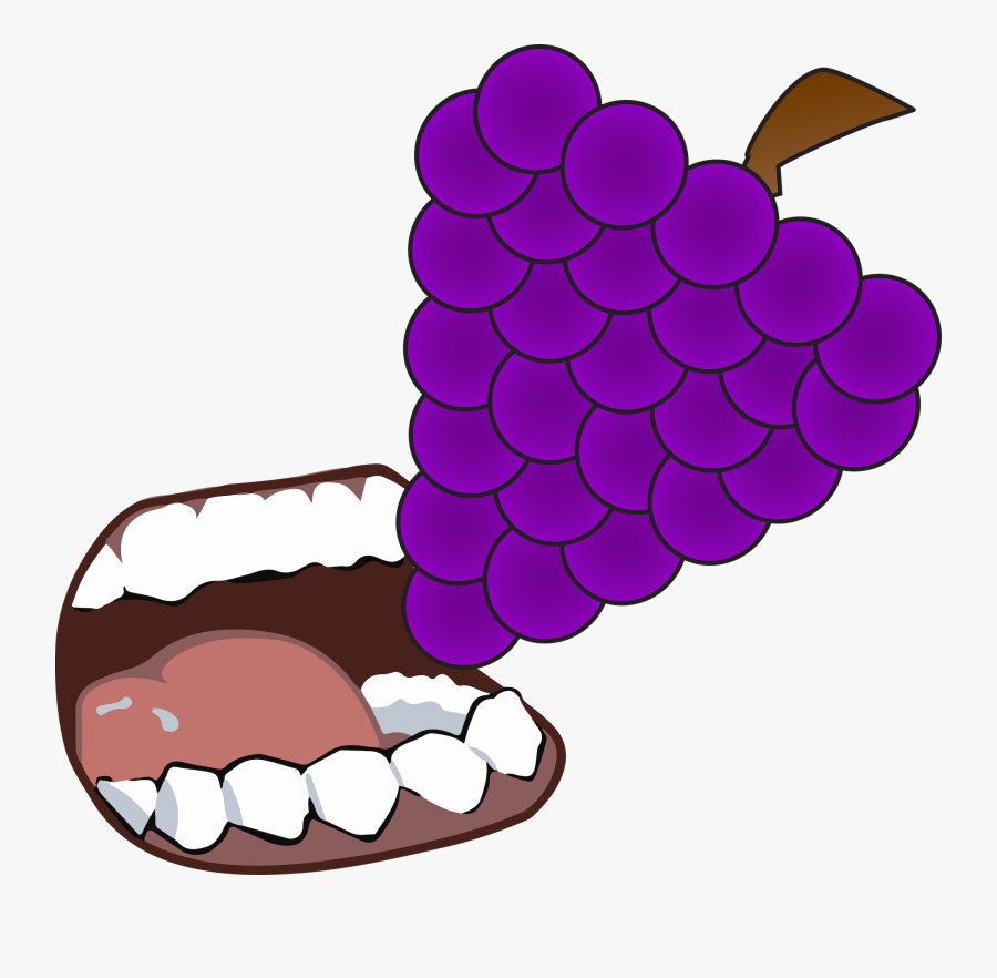 Grapevine Clipart Banner, Transparent Clipart