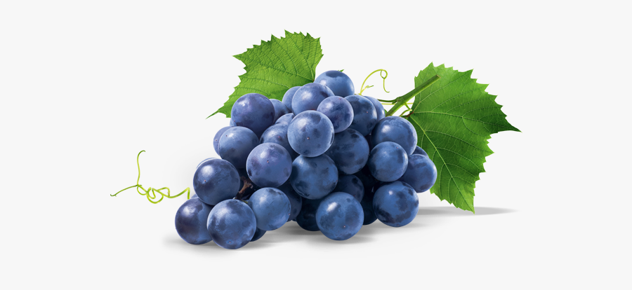 Nera Image Transparent Background - Purple Grapes, Transparent Clipart