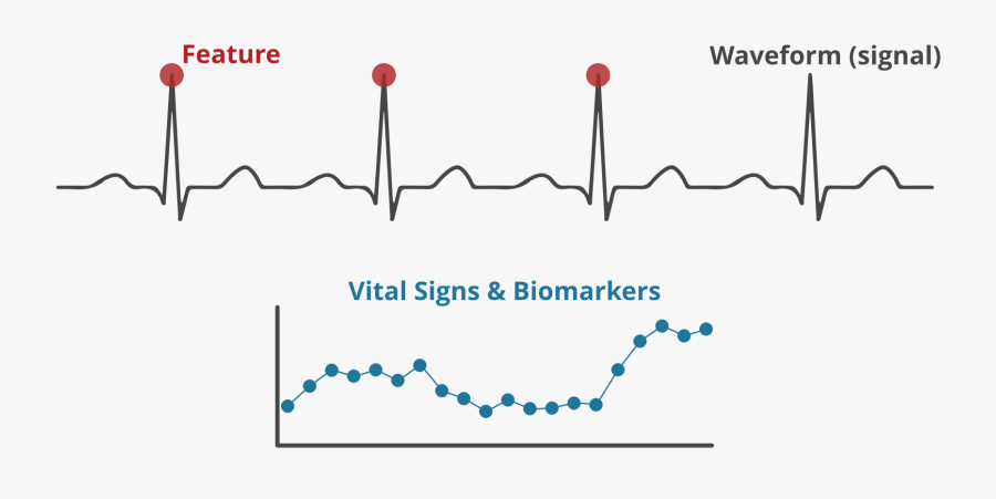 Heartbeat Clipart Vital Sign, Transparent Clipart