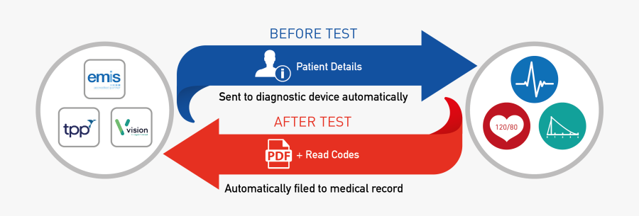 Graphic Design, Transparent Clipart