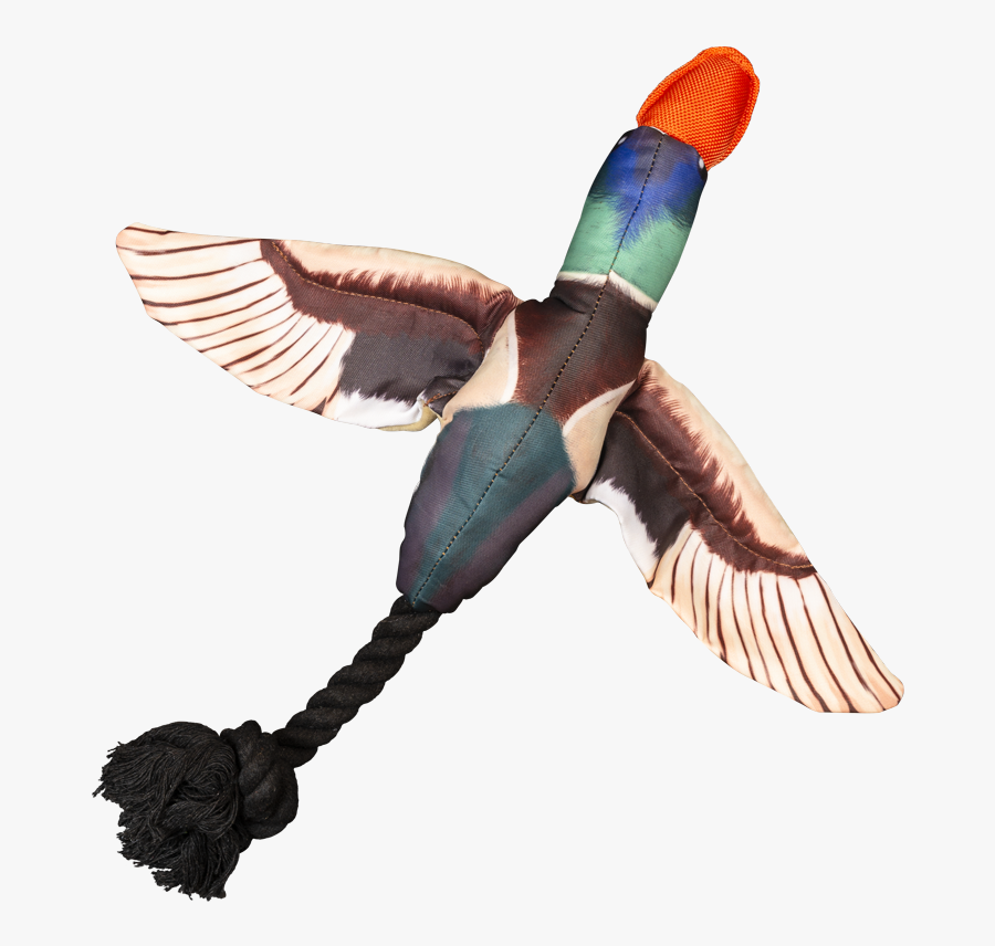 Transparent Flying Duck Png - Spunky Pup Fly & Fetch Dog Toy, Transparent Clipart