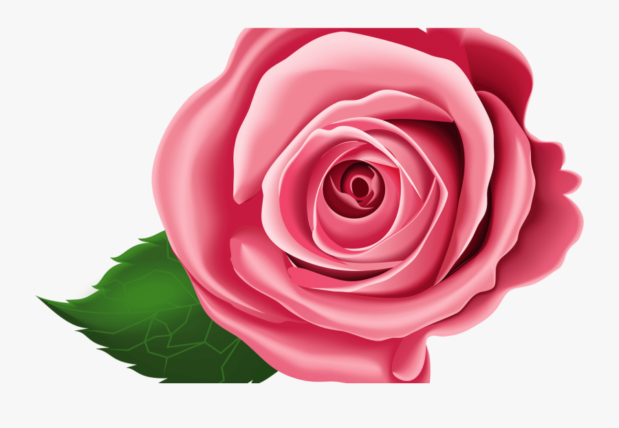 Transparent Family Dinner Clipart - Transparent Background Rose Clipart, Transparent Clipart