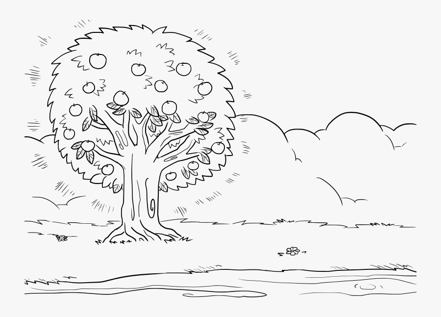 Psalm 1 - 1-6 - Tree By Water Coloring Page, Transparent Clipart