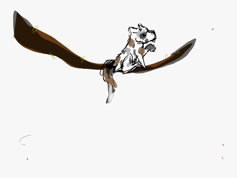 Splat Is A Very Odd Coloured Cat - Cartoon, Transparent Clipart