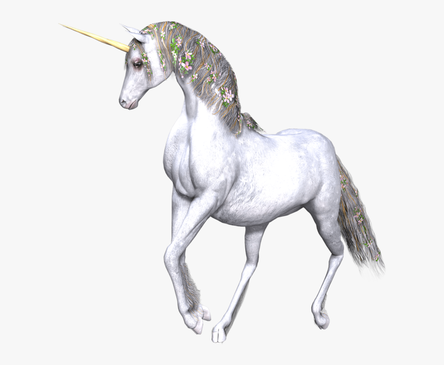 Full White Unicorn Flowers In Manes - White Unicorn Transparent, Transparent Clipart
