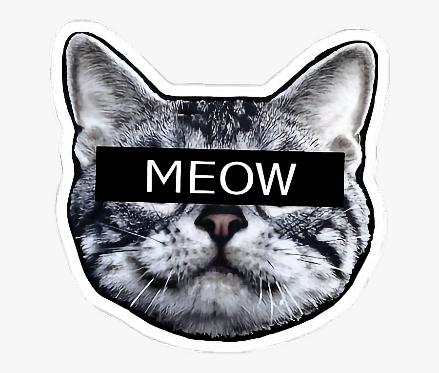#gato #cat #meow #gatotumblr - Acid Trip Gif , Free Transparent Clipart - C...