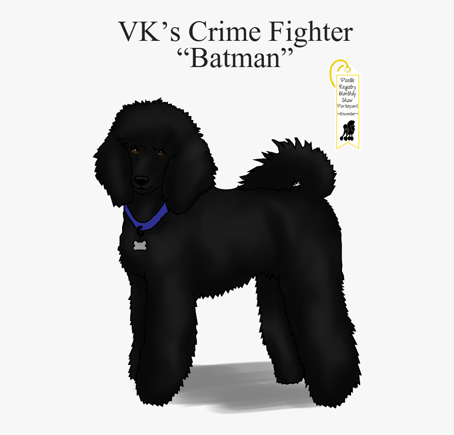 Standard Poodle Barbet Miniature Poodle Portuguese - Black Poodle Silhouette, Transparent Clipart