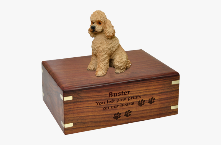 Cavalier King Charles Spaniel Monument, Transparent Clipart