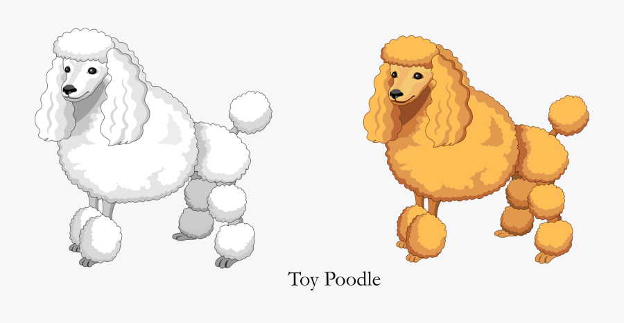 Vector Cartoon Yellow White Toy Poodle Png Download - Poodle Dog Cartoon Vector, Transparent Clipart