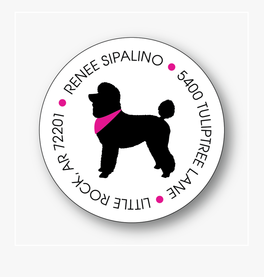 Standard Poodle, Transparent Clipart