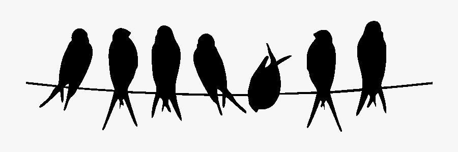 Wall Decal Printing Poster Rare Bird Salon - Birds On A Row, Transparent Clipart