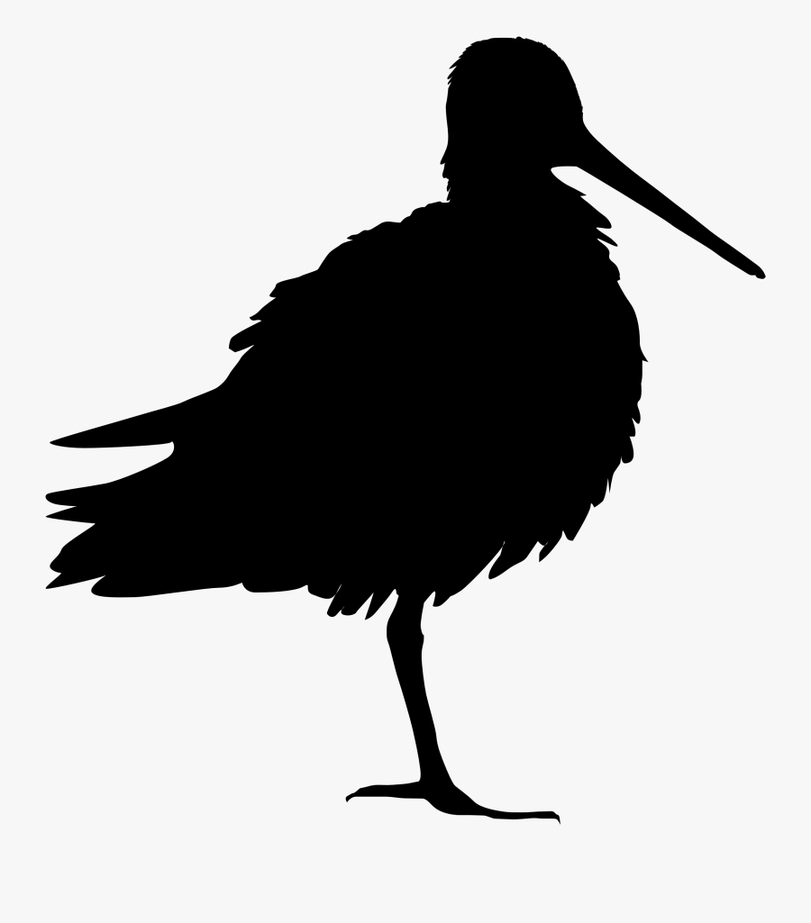 Transparent Sandpiper Clipart - Snipe Bird Silhouette, Transparent Clipart