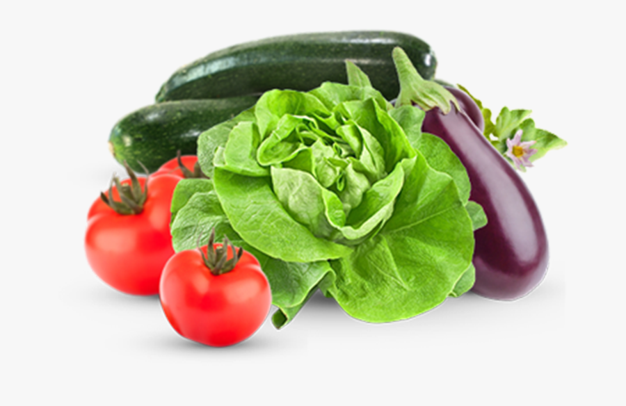 Soly Import Before Above - Imagenes Animados De Lechuga, Transparent Clipart