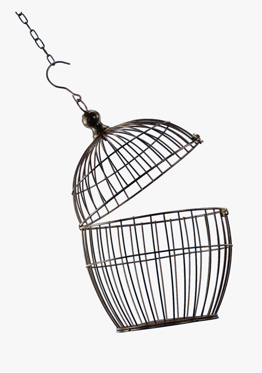 Open Bird Cage Png, Transparent Clipart