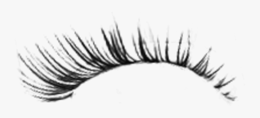 Eyelash, Lash Png Images Free Download - Transparent Background Transparent Lashes, Transparent Clipart
