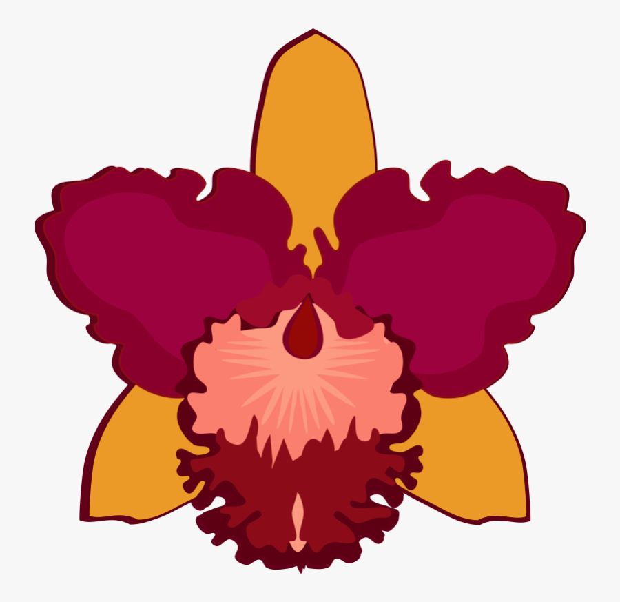 Cattleya-07e - Orchid Flower Clip Art, Transparent Clipart