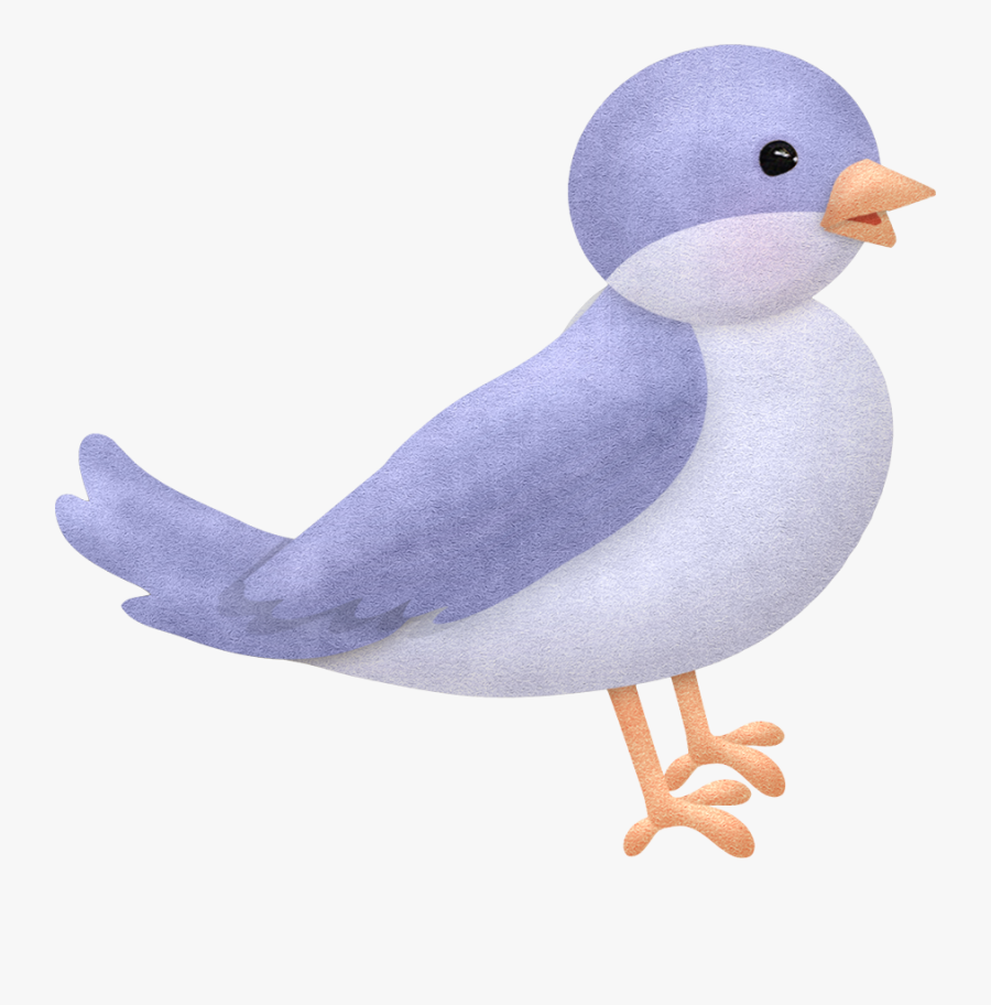 Duck, Transparent Clipart