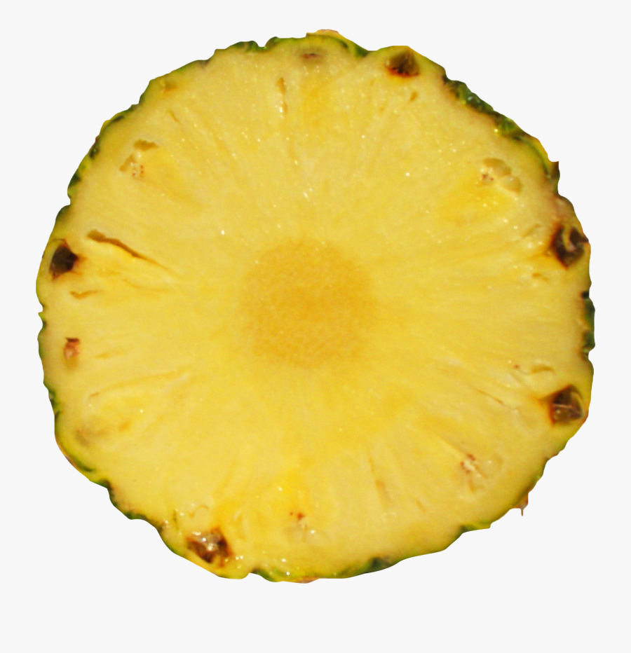 Slice Of Pineapple Png, Transparent Clipart