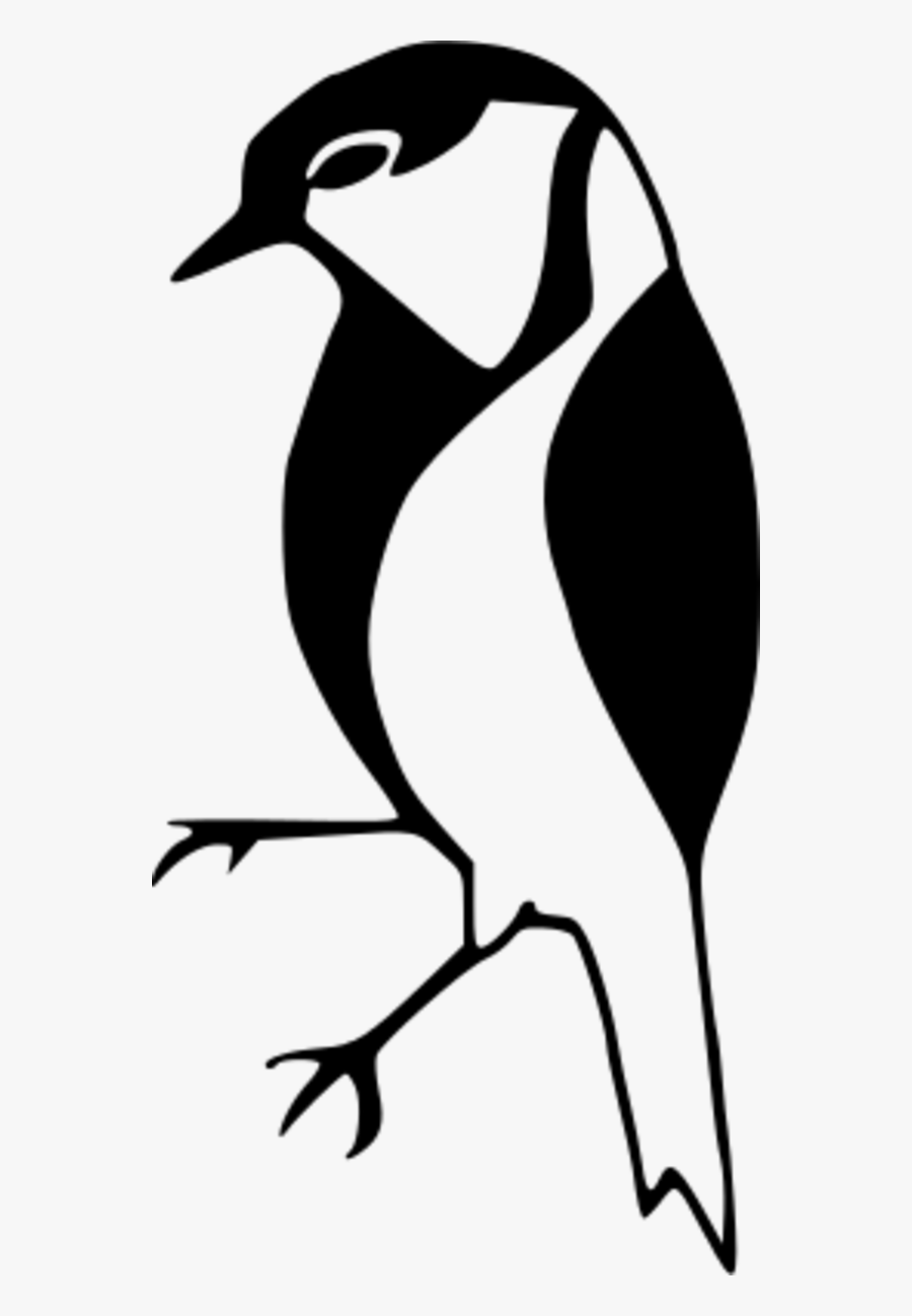 Snipe Bird Cartoon - Birds Clipart B&w, Transparent Clipart