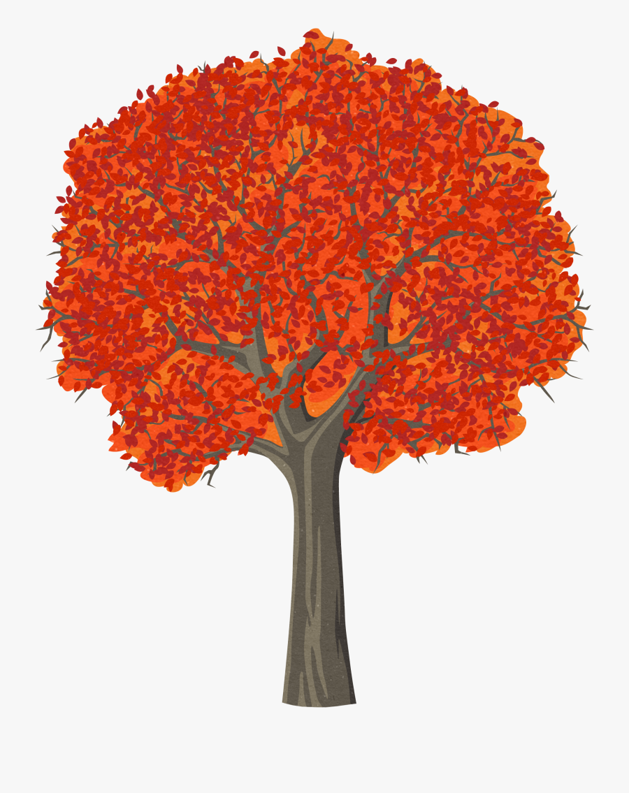 Red Maple Tree Drawing, Transparent Clipart