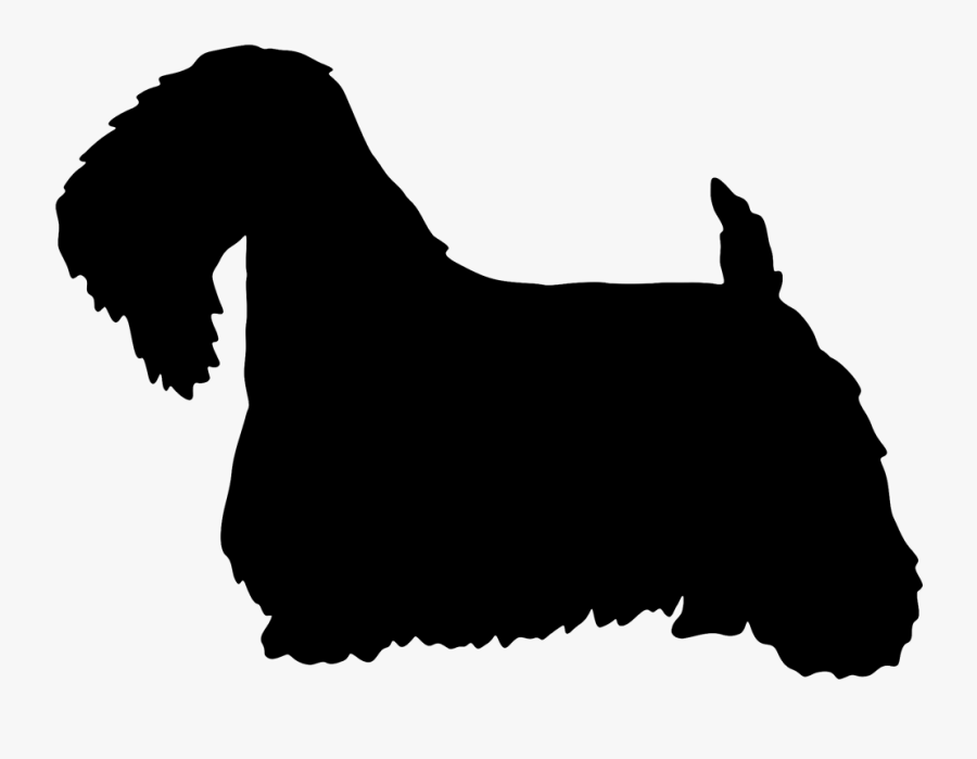7al Sealyham Terrier Silhouette Imprinted On A Peerless - Sealyham Terrier Vector, Transparent Clipart