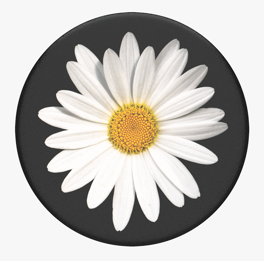 White Popsockets Popgrip - Daisy Popsocket, Transparent Clipart