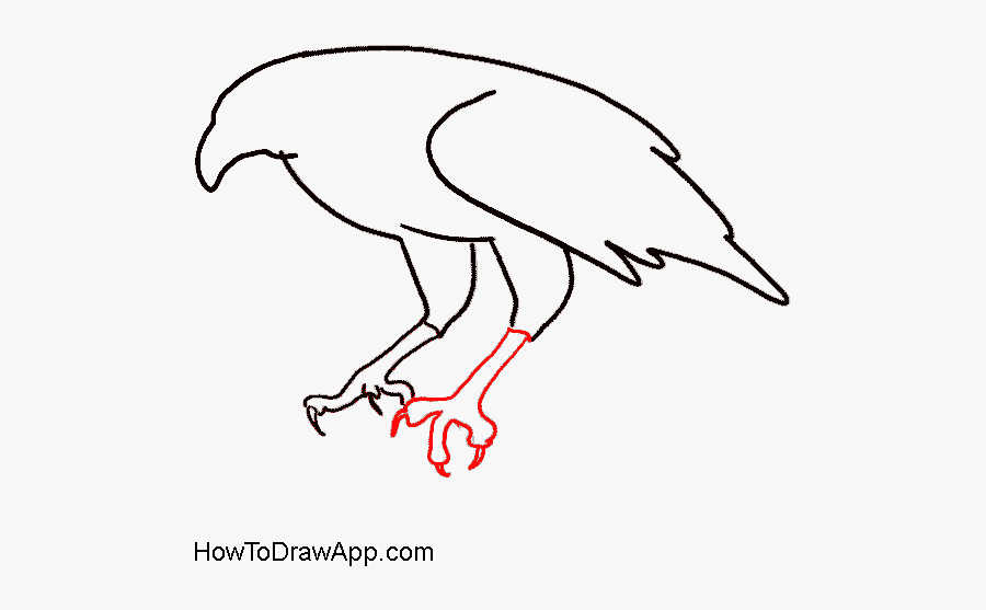 How To Draw An Easy Eagle - Eagle, Transparent Clipart