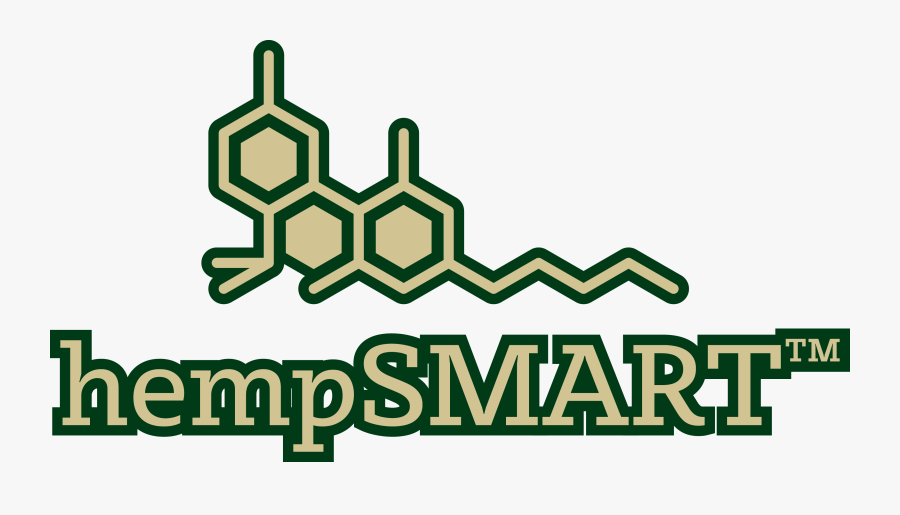 College Football Is Football Played By Teams Of Student, Transparent Clipart