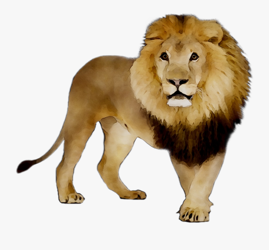 Lion Tiger Video Clip Watercolor Painting - Ali Project Gothic Opera, Transparent Clipart