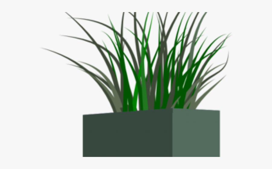 Grass In A Pot Png, Transparent Clipart
