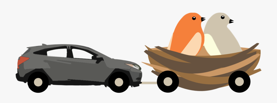 Charleston A Walking Tour - Illustration, Transparent Clipart