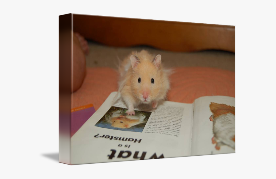 Clip Art By Blakestiles - Mouse, Transparent Clipart