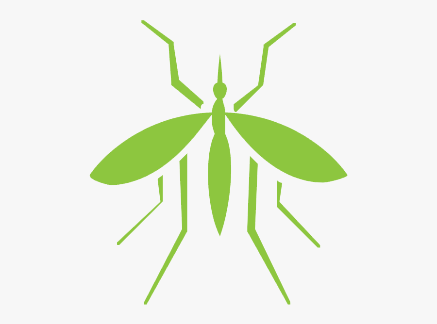 Mosquito White Black Png, Transparent Clipart