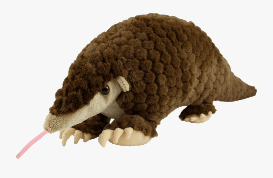 Pangolin Toy - Pangolin London Zoo, Transparent Clipart