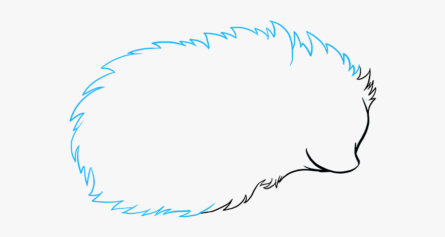How To Draw A Hedgehog - Draw A Cartoon Hedgehog, Transparent Clipart
