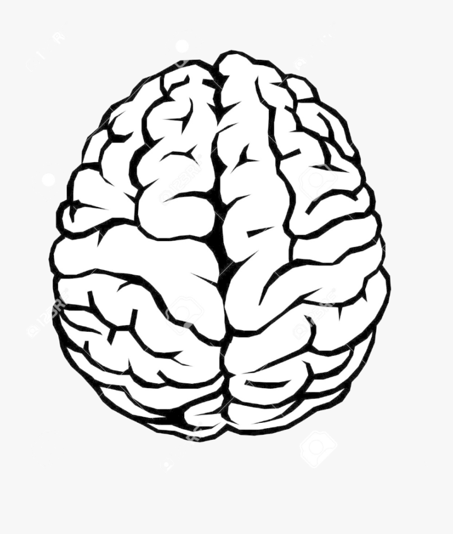 Brain Best Clipart Black And White Transparent Png - Brain Clipart, Transparent Clipart