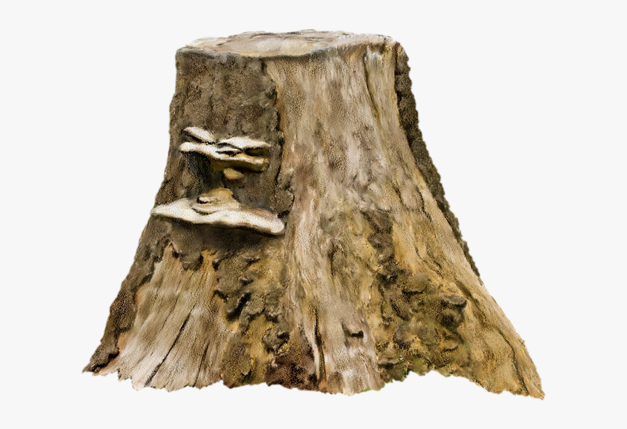Tree Stump Photography Clip Art - Tree Stump Transparent, Transparent Clipart