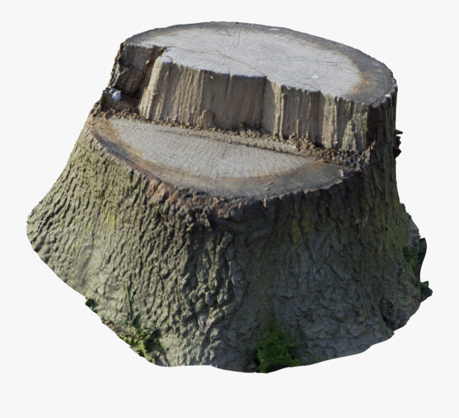 Scanned Tree Stump - Tree Stump Transparent, Transparent Clipart