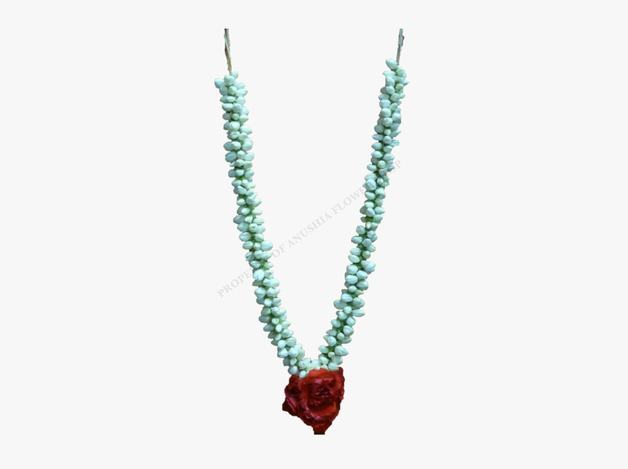 Jasmine Garland Free Clipart Hd - Jasmine Garland, Transparent Clipart