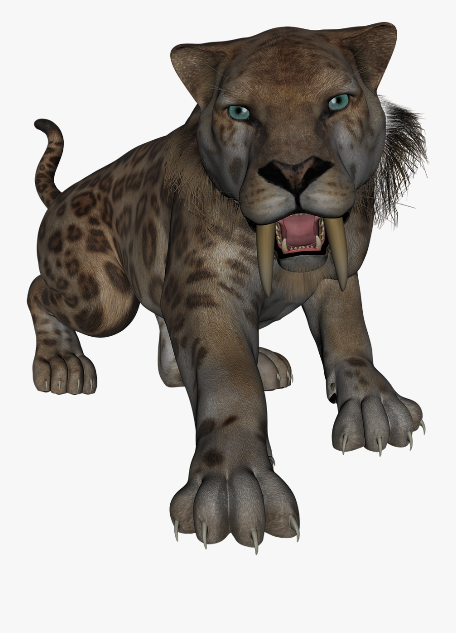 Saber Toothed Tiger Saber Tooth Tiger - Saber Tooth Tiger Stone Age Animals, Transparent Clipart