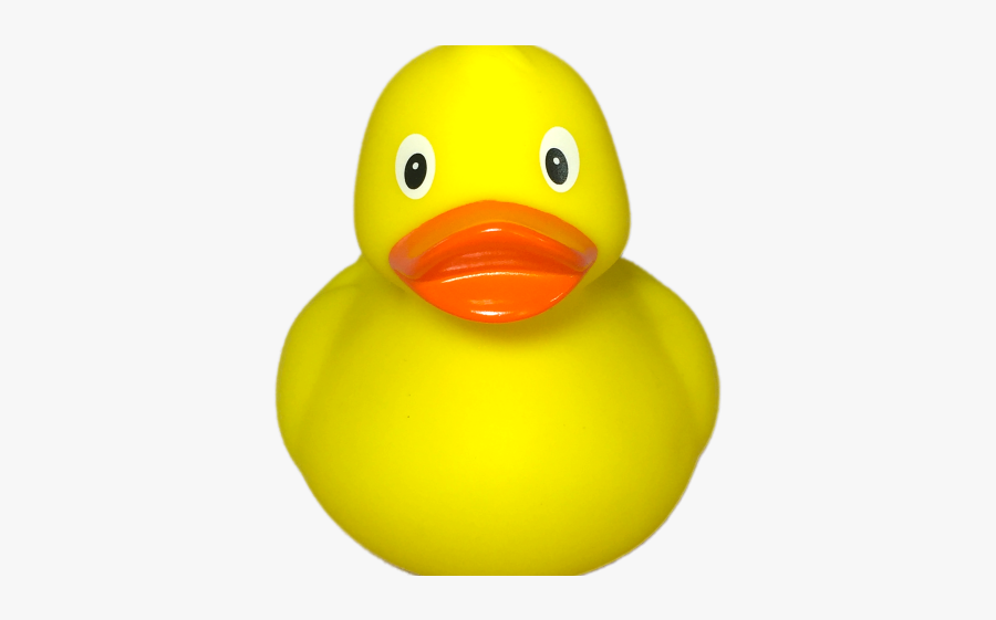 Duck, Transparent Clipart