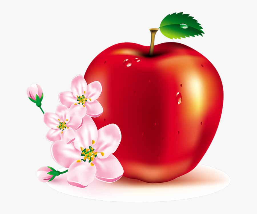 Apple Fruit Flower, Transparent Clipart
