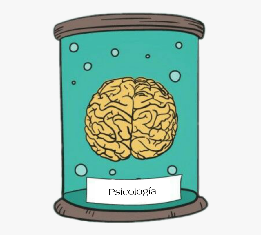 #psicología #poramoralapsicología #brain #cerebro #palabrassabias - Cerebro Clipart, Transparent Clipart
