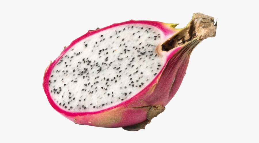 Portable Network Graphics Image Jpeg Design Illustration - Pitahaya, Transparent Clipart