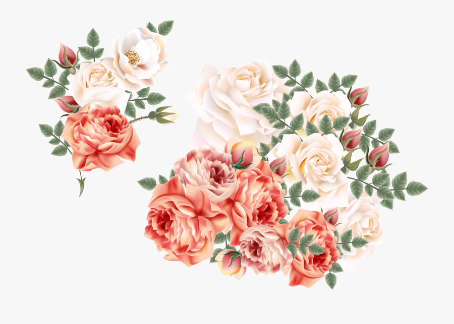 Roses Centifolia Euclidean Flower Hand Handpainted - Rose, Transparent Clipart