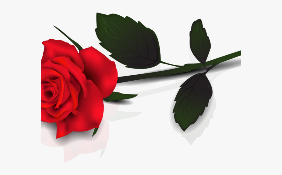 Transparent Background Rose Png, Transparent Clipart