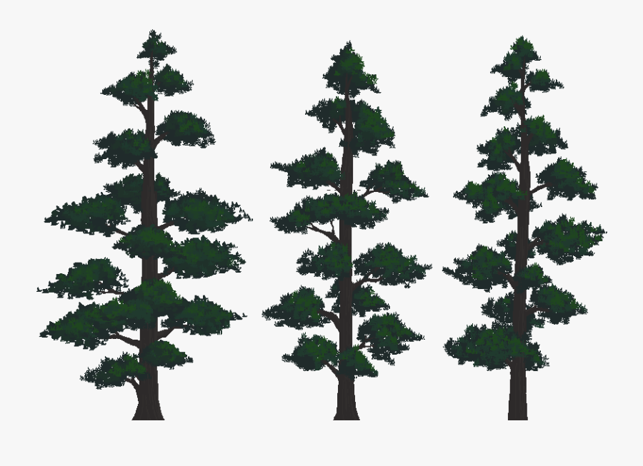 Clip Art Pine Tree Mountain - Trees And Mountains Png , Free