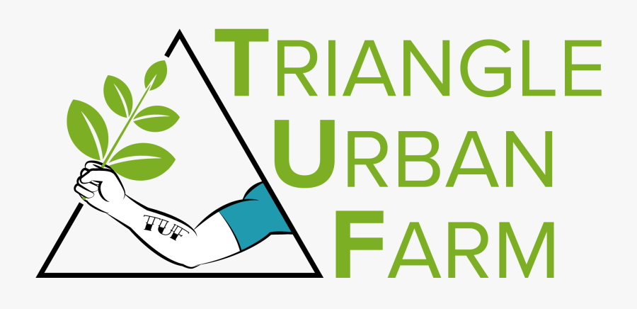 Seedling Clipart Personal Growth - Typographic Anatomy, Transparent Clipart